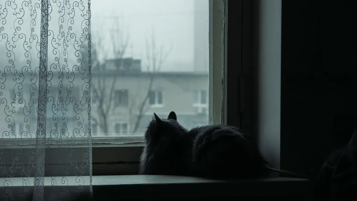 A dog resting near a window on a gray, overcast day
