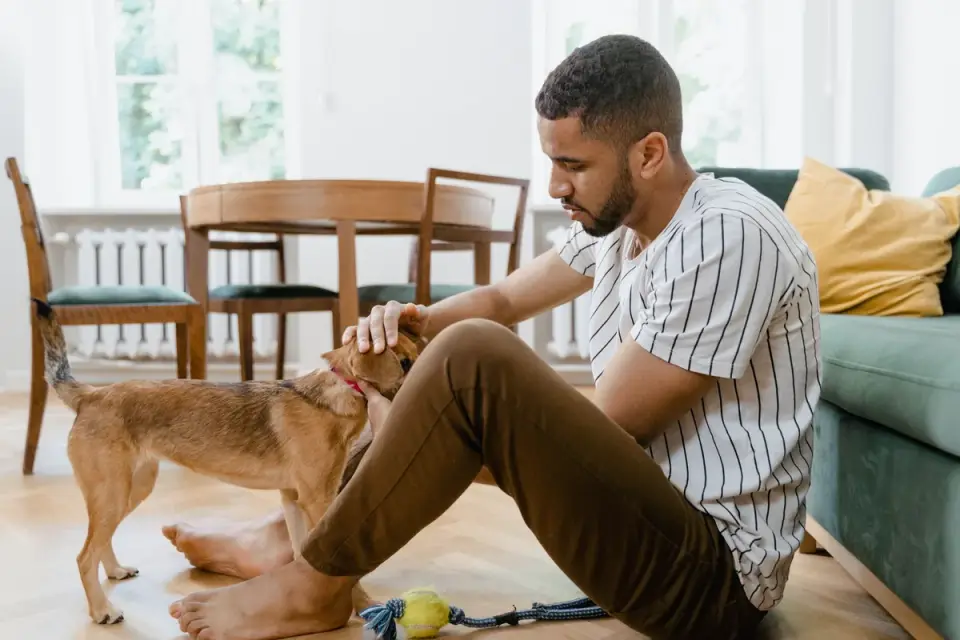 Dog eating from bowl at home