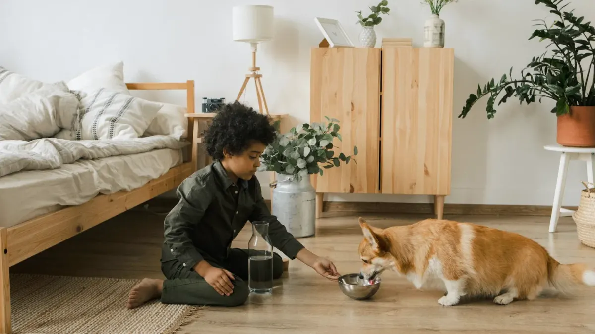 Dog eating from bowl at home