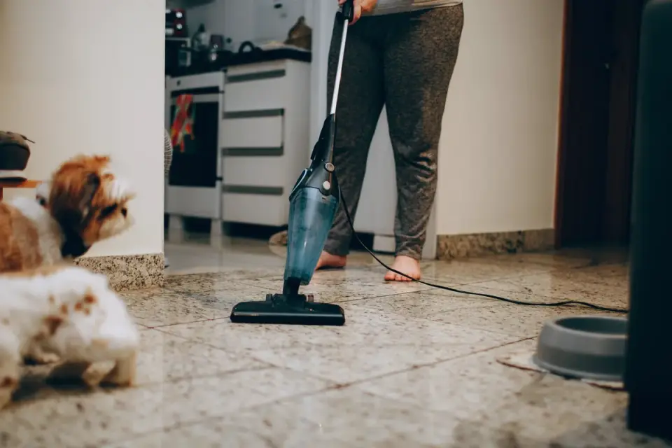 Dog in a kitchen with an owner