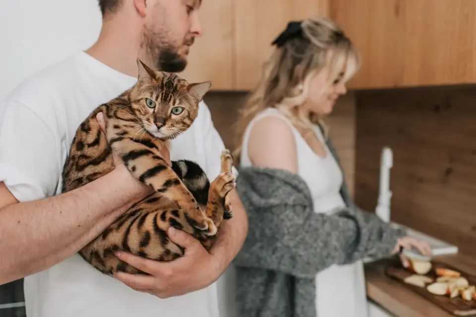 Dog owner preparing dog food kitchen