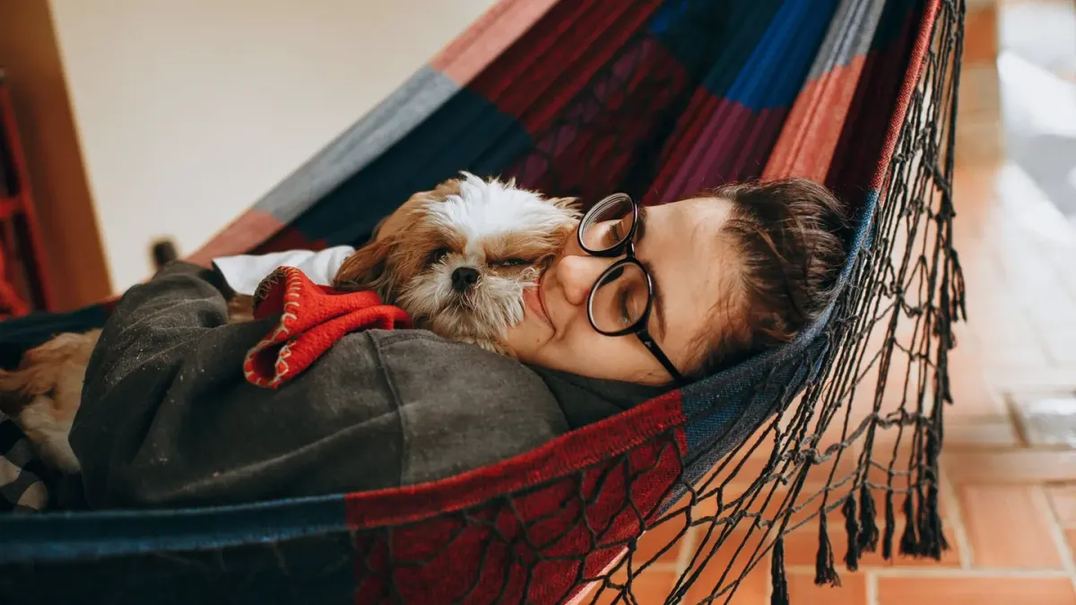 Dog sleeping at home