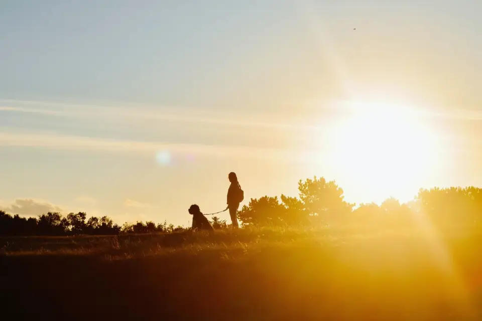 Dog walking outdoors owner