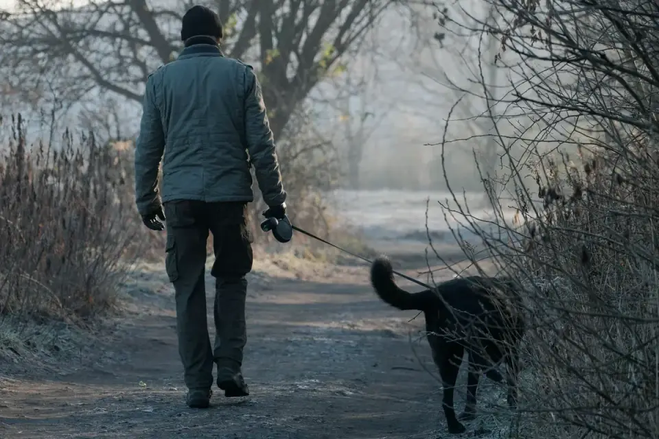 Dog walking with an owner