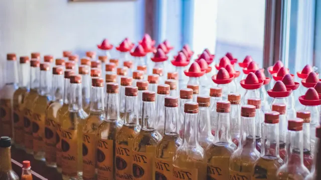 Multiple dog supplement bottles with different labels lined up on a shelf