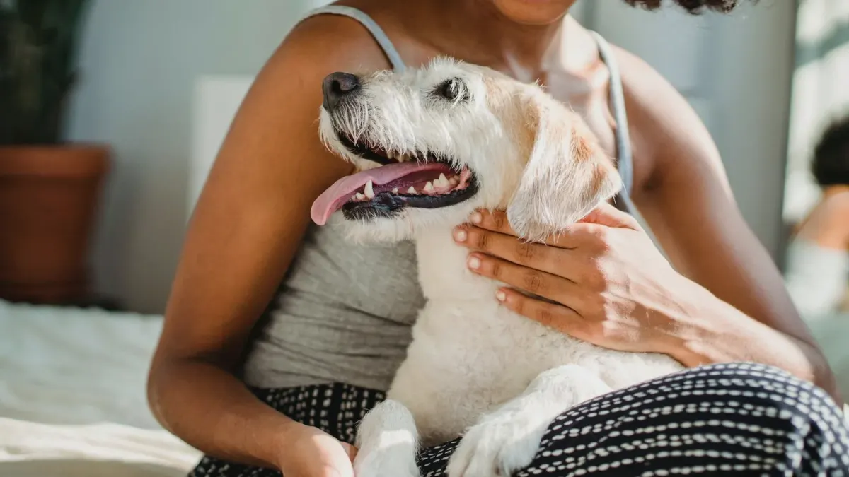 Owner kneeling to offer a soft chew supplement to a dog in a kitchen