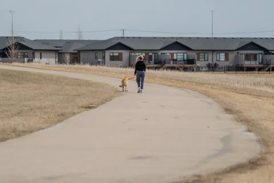 Senior dog walking with an owner