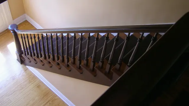 Senior golden retriever pausing at the bottom of a staircase