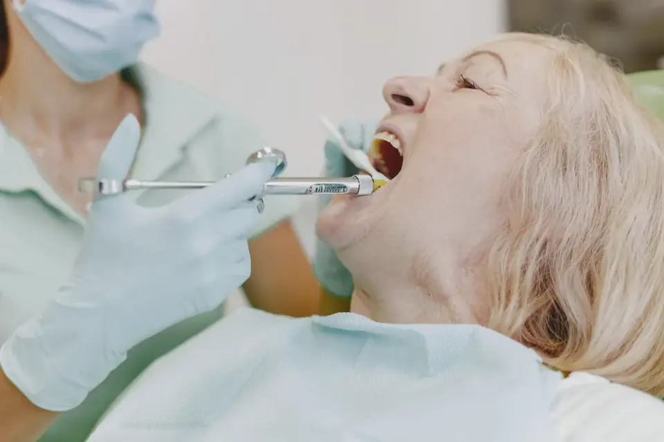 Veterinarian checking a senior dog&#x27;s teeth and mouth during an exam